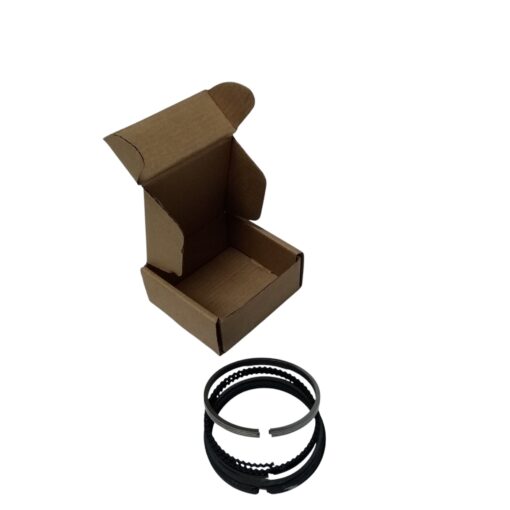 ANILLOS PISTON STD VAN PASS CARGO NICE QQ6 1.3