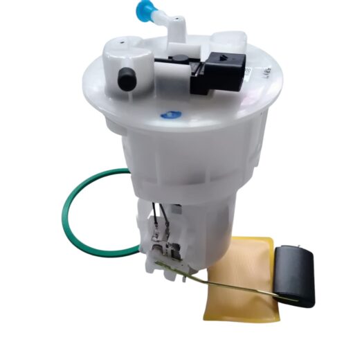 BOMBA GAS VISION SEPHIA 2010 - Imagen 4