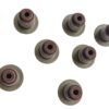 CAUCHOS VALVULAS N200 / N300