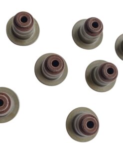 CAUCHOS VALVULAS N200 / N300
