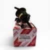 FILTRO COMBUSTIBLE TOYOTA HILUX